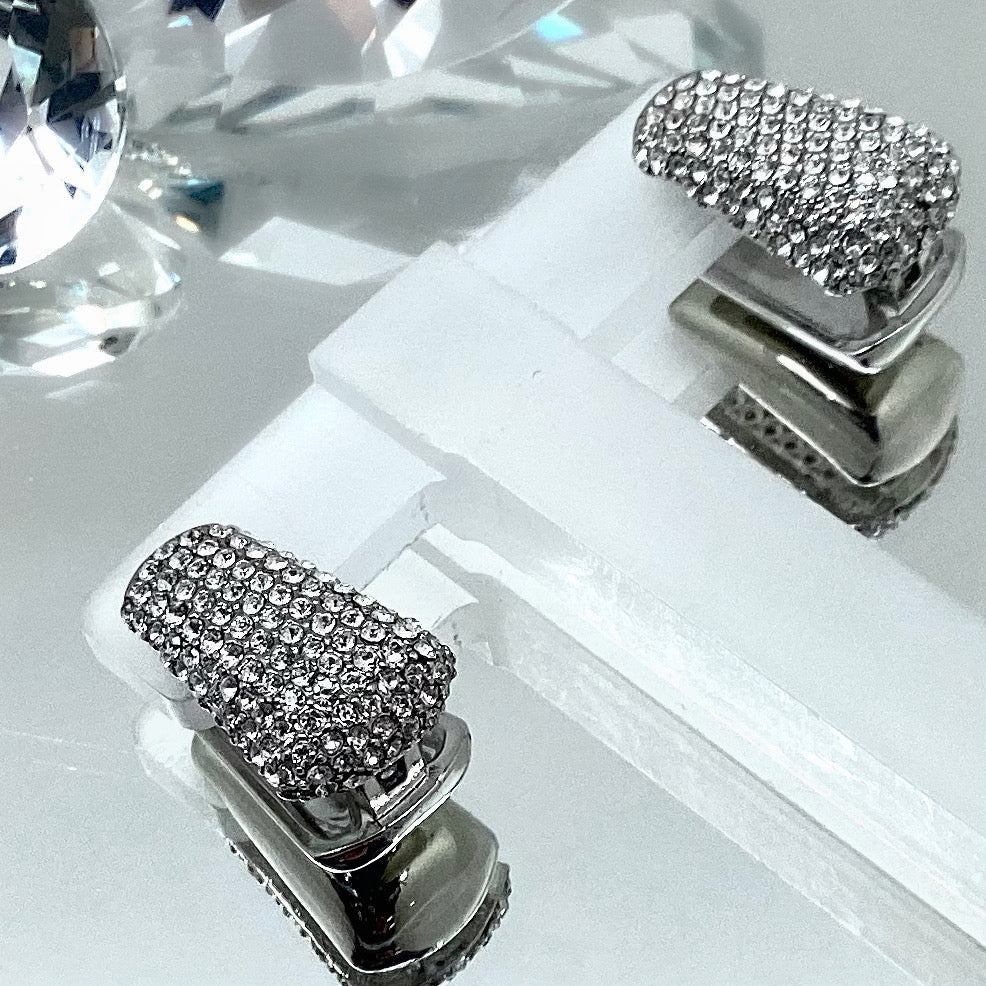Premium Crystal Earrings E2041