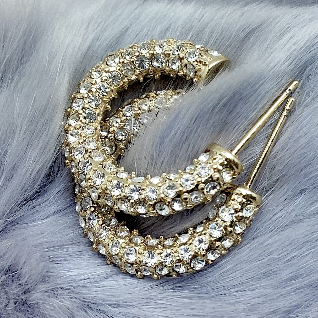 Crystal Hoop Earrings